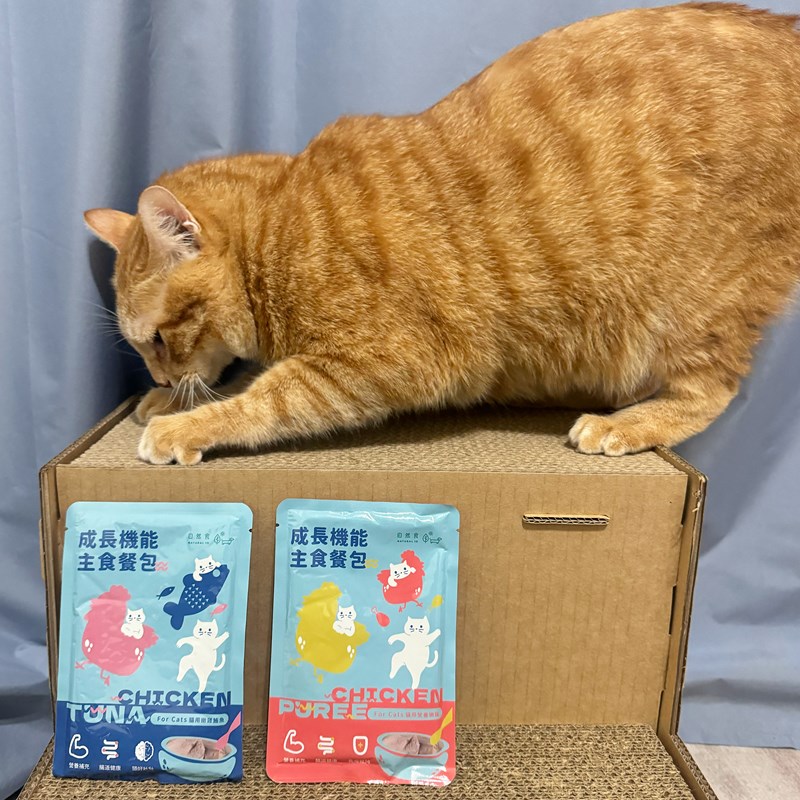 試用